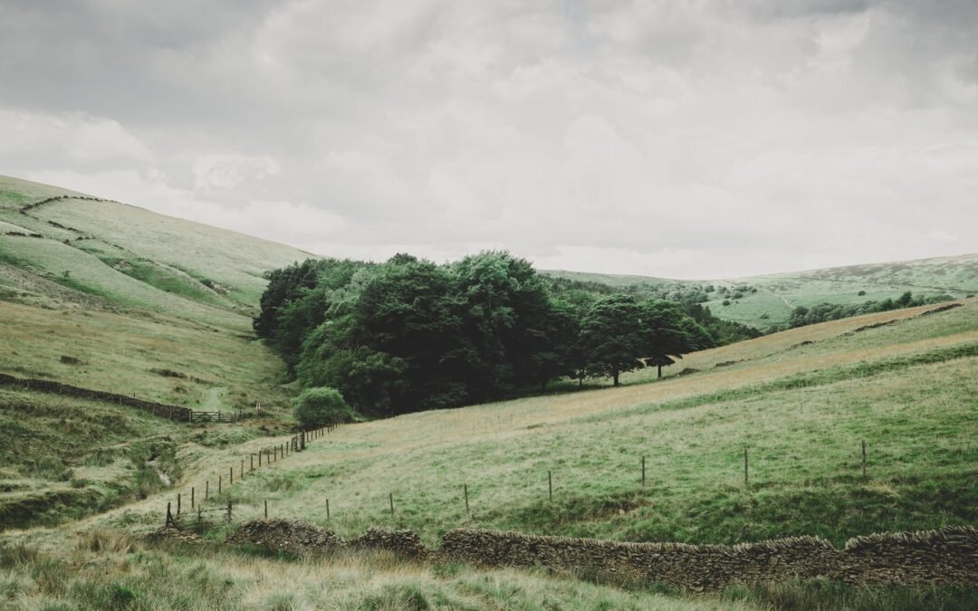 Countryside