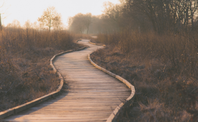 A boardwalk path at dusk