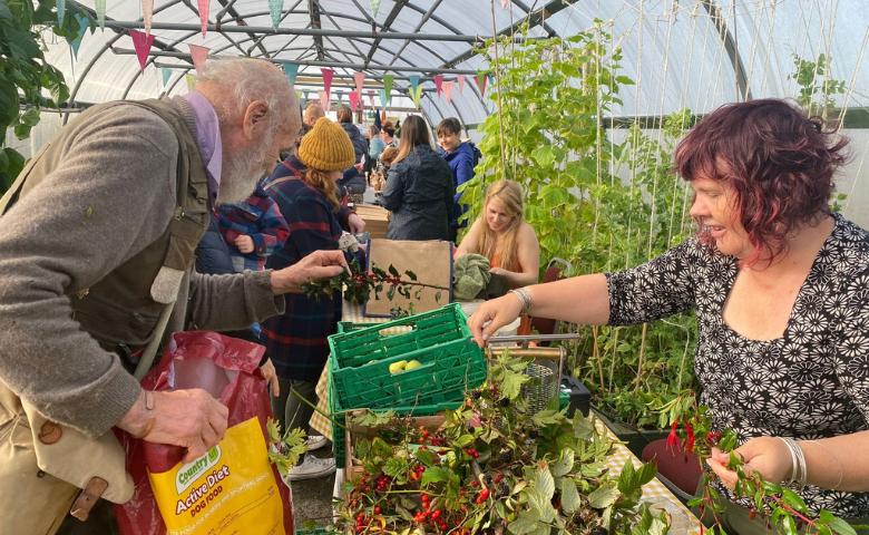 A man and a woman stand either side of a table looking at branches of holly and evergreen plants. Behind them there are more tables and plants growing.