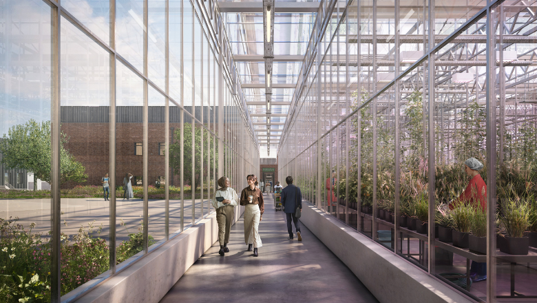 Glasshouse corridor, John Innes Centre